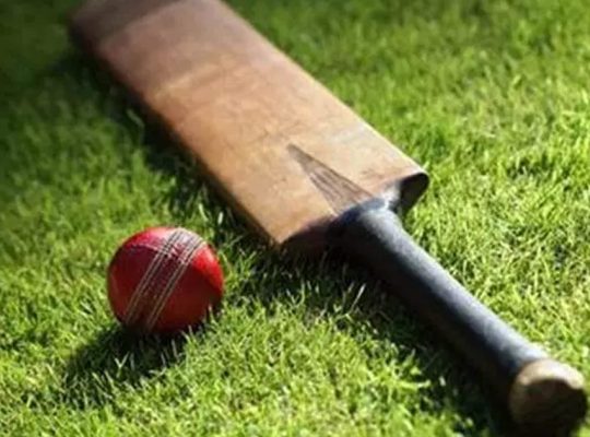 Cricket Cricket